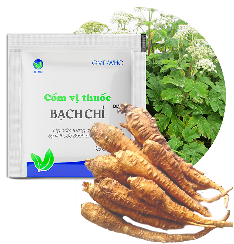 Com vi thuoc bach chi